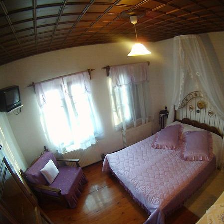 Mansion Theodora Hotel Makrinitsa Exterior photo