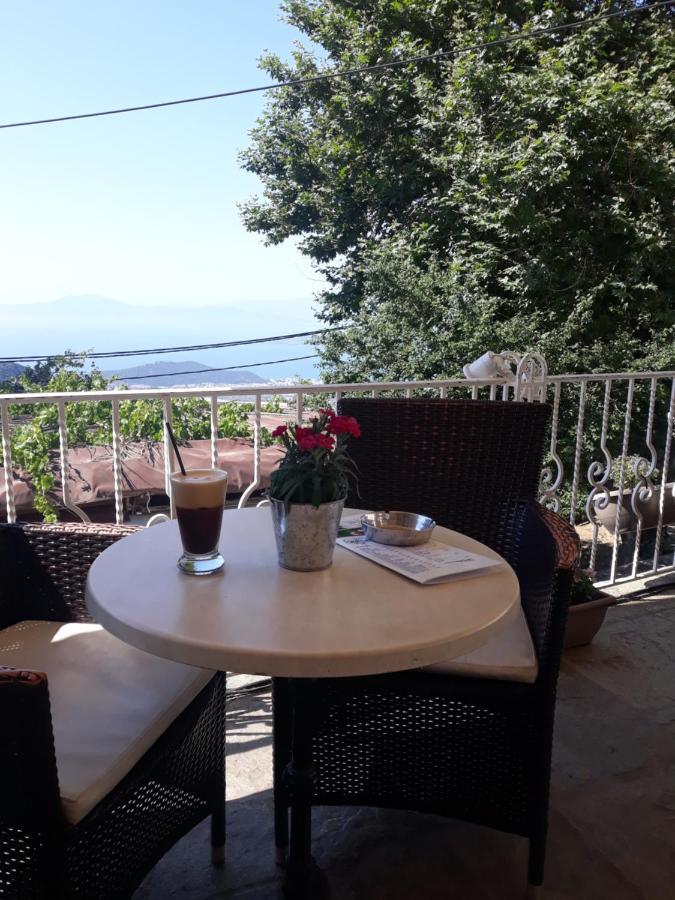 Mansion Theodora Hotel Makrinitsa Exterior photo