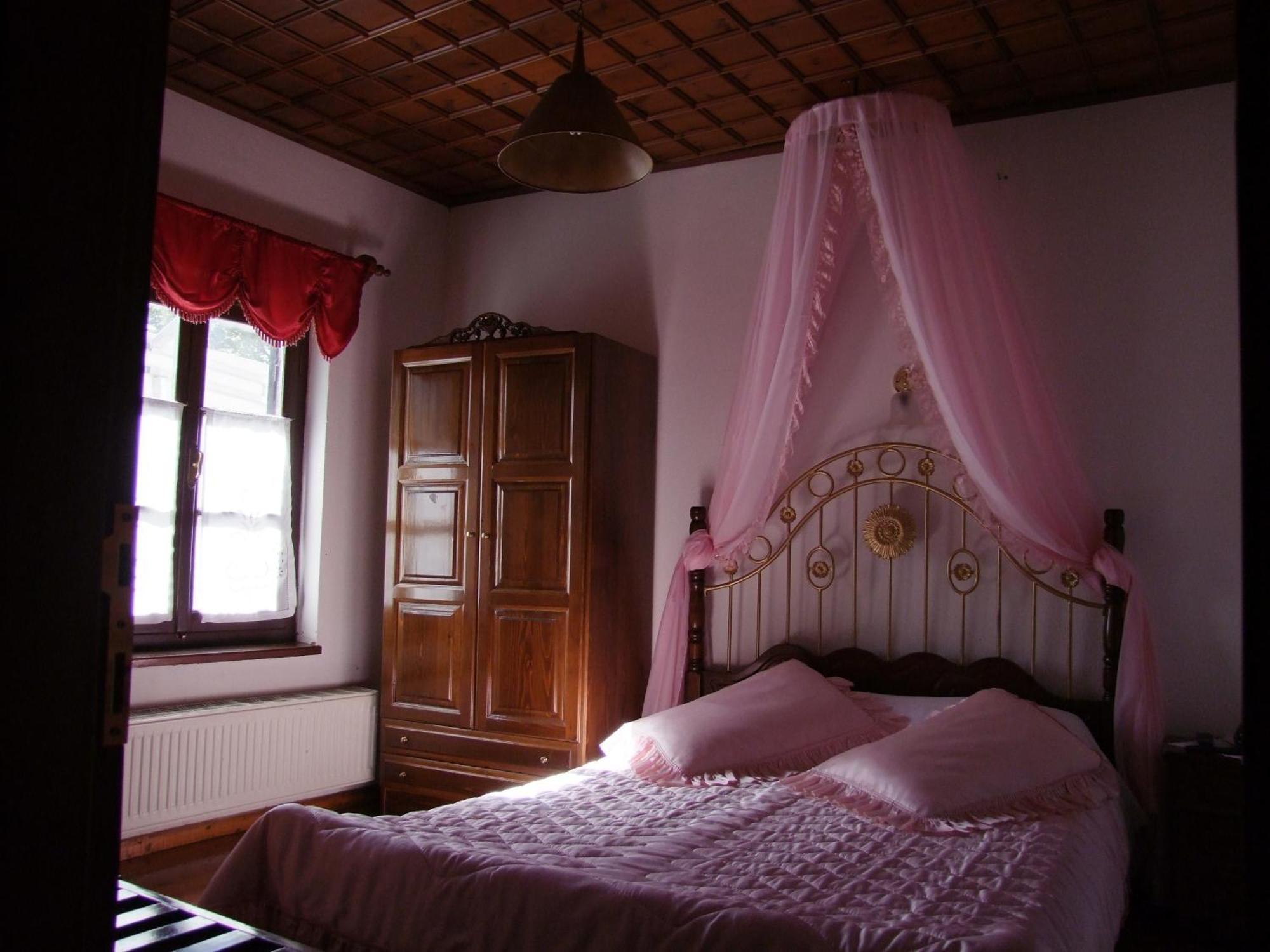 Mansion Theodora Hotel Makrinitsa Exterior photo