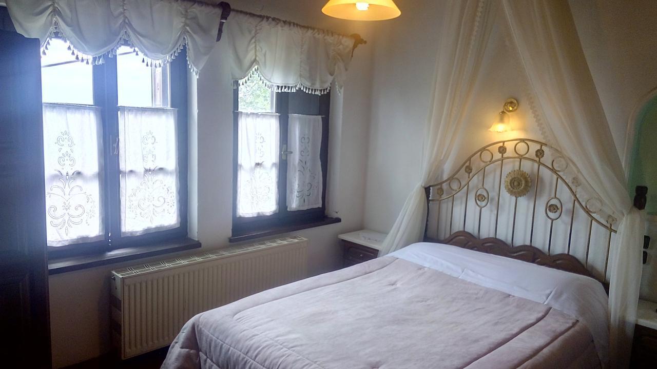 Mansion Theodora Hotel Makrinitsa Exterior photo