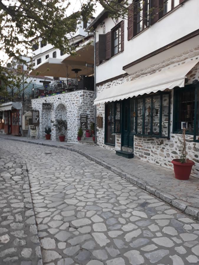 Mansion Theodora Hotel Makrinitsa Exterior photo