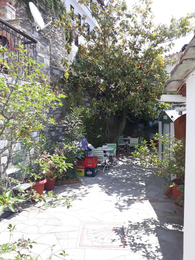 Mansion Theodora Hotel Makrinitsa Exterior photo