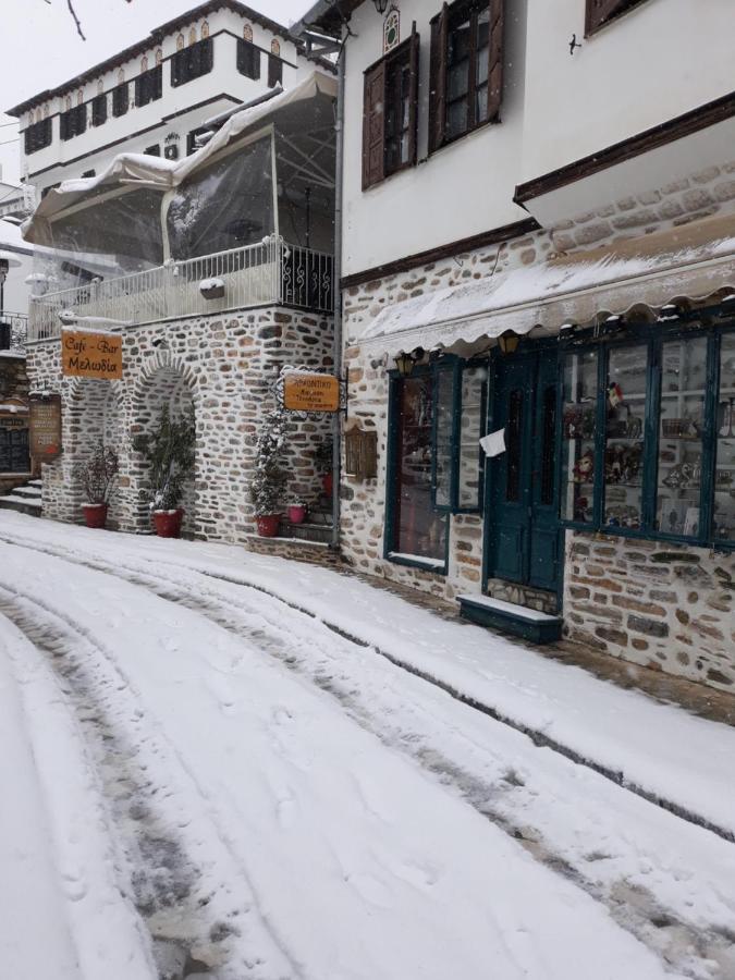 Mansion Theodora Hotel Makrinitsa Exterior photo