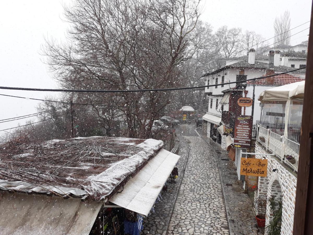 Mansion Theodora Hotel Makrinitsa Exterior photo